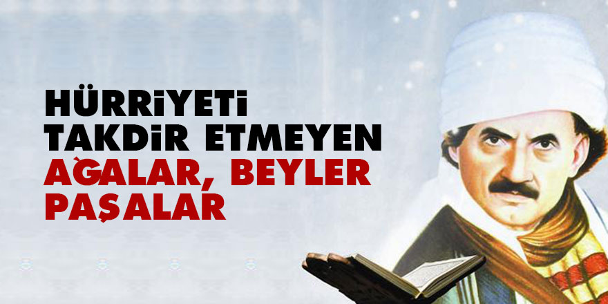 Hürriyet ve meşrutiyeti takdir etmeyen ağalar, beyler, paşalar