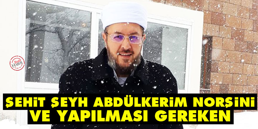 Şehit Şeyh Abdülkerim Norşini ve yapılması gereken