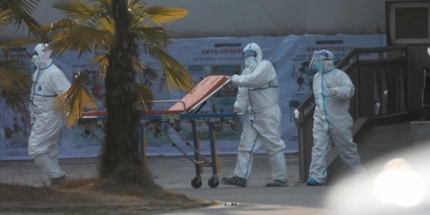 Japonya'da korona virüsü vakası 3'e yükseldi