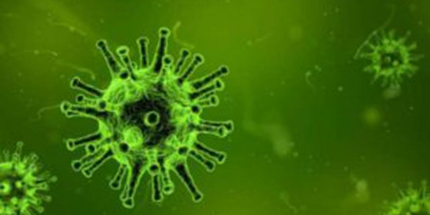 Yeni tip koronavirüs dünyada hızla yayılıyor