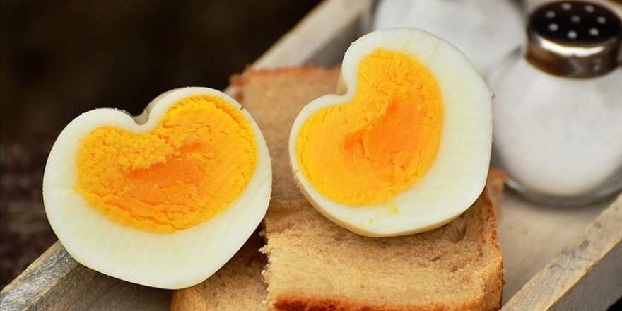 Günde bir yumurta kalp hastalığı riskini artırmıyor