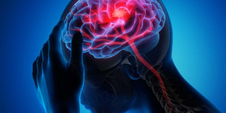 Korona virüs yüzünden hayatınız felç olmasın