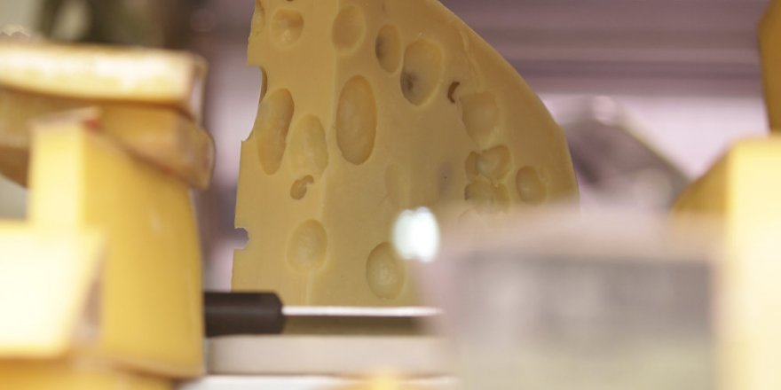 İsrailli insan hakları kuruluşu: Trump'ın planı peynir gibi, dolu kısmı İsrail'e, boşluklar Filistin'e