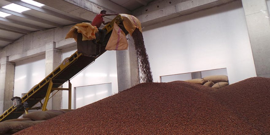 Türkiye fındık ihracatında rekora koşuyor