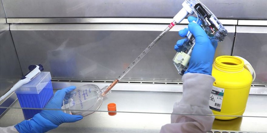 Almanya’da yeni tip koronavirüs vakası 5’e yükseldi