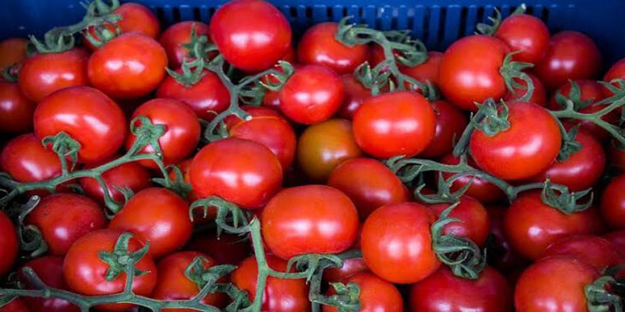 Rusya, Türkiye'den domates ithalatını artırıyor
