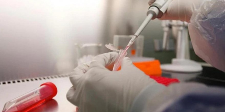 Koronavirüs aşısı en erken yıl sonunda hazır olur