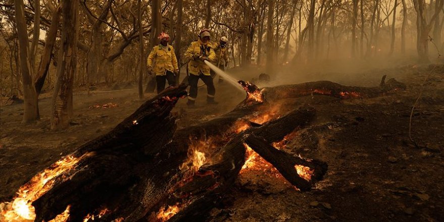 Avustralya'nın başkent bölgesindeki yangın 55 bin hektardan fazla alanı kül etti