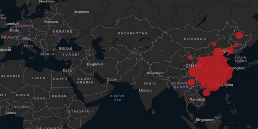 Coronavirüs için dünyanın beklediği haber geldi!