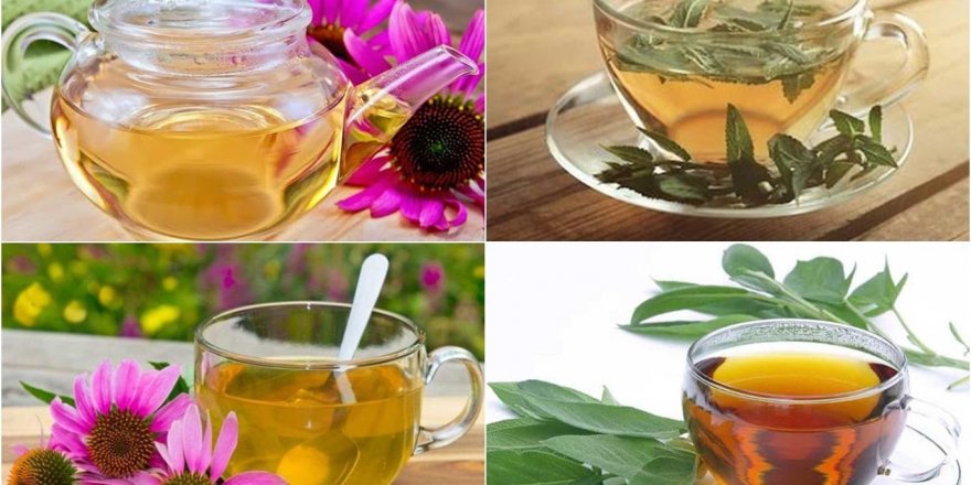 Uzmanlardan kış hastalıklarından "adaçayı ve ekinezya" ile korunmanın yolu