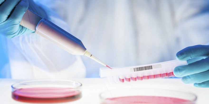 Kanserde 'kişiselleştirilmiş' ve 'immünoterapi' ile tedavi şansı artıyor