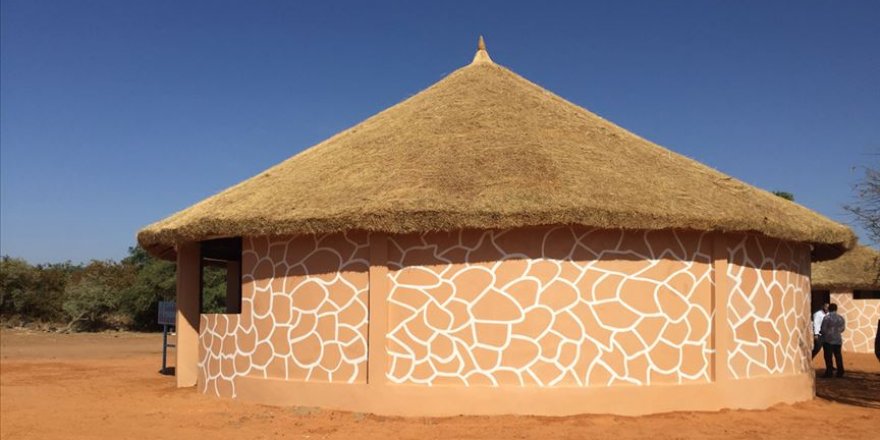 TİKA'dan Nijer'de nesli tükenme riski yaşayan zürafalara destek