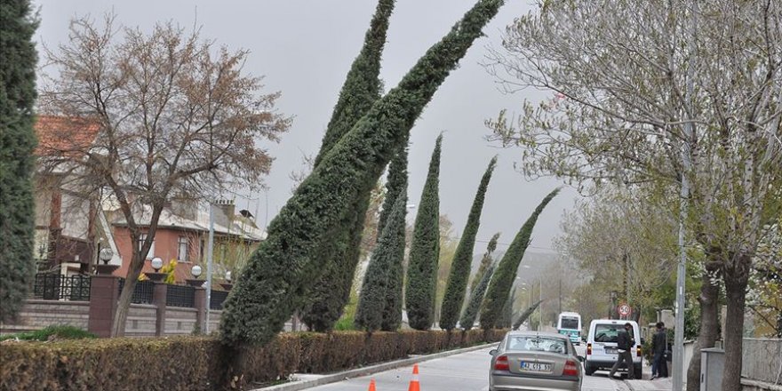 İç Anadolu'da 4 ilde kuvvetli rüzgar ve fırtına uyarısı
