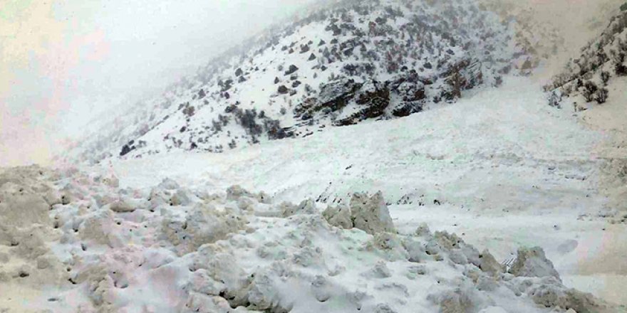 Van-Çatak kara yoluna peş peşe çığ düşüyor