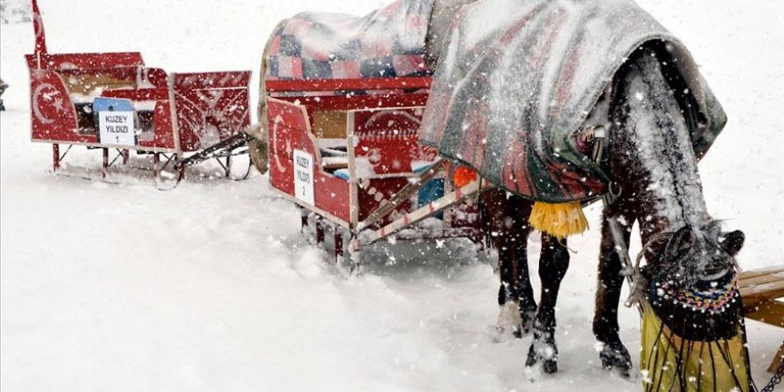 Çıldır'ın sembolü atlı kızakçılara kar engeli