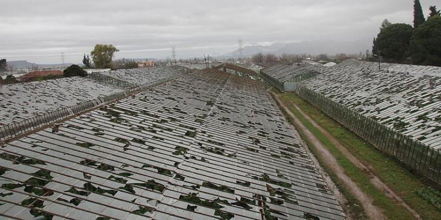 Bilecik'te hortumdan zarar gören seralarda hasar tespiti