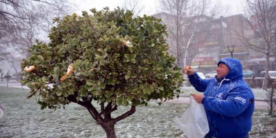 Soğuk havada kuşlar için yaptığı yürekleri ısıttı
