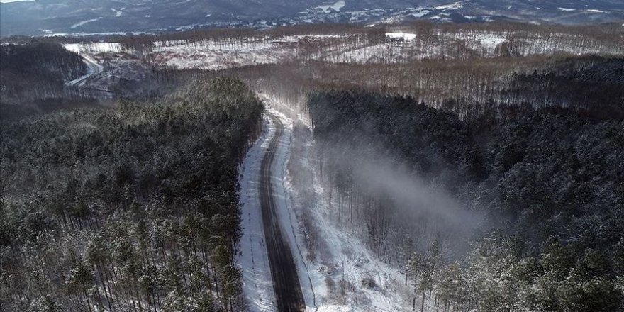 Karla kaplanan İğneada Longoz Ormanları görsel şölen sunuyor