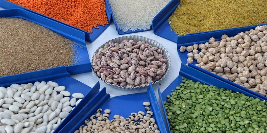 Nohut ve mercimek üretimi rekor seviyelere çıktı