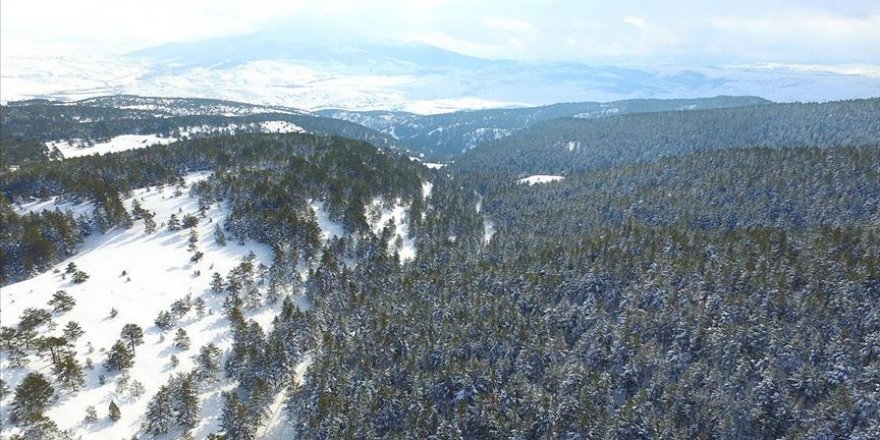 Beyaza bürünen Dumanlı Tabiat Parkı'nda kartpostallık görüntüler oluştu