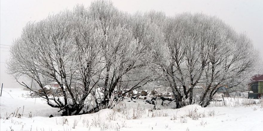 Göle ilçesi eksi 39 dereceyi gördü