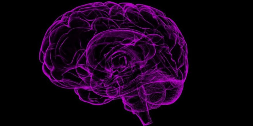 'Dünyada tahminen 65 milyon epilepsi hastası var'