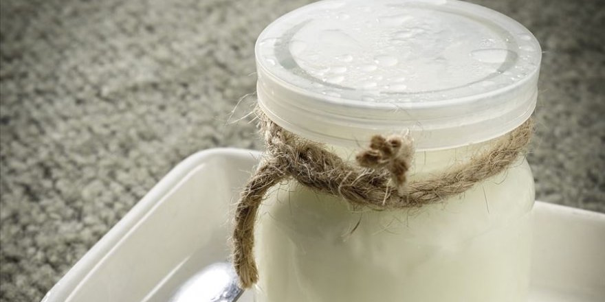 Endüstriyel yerli yoğurt mayasıyla ithalat azaltılacak