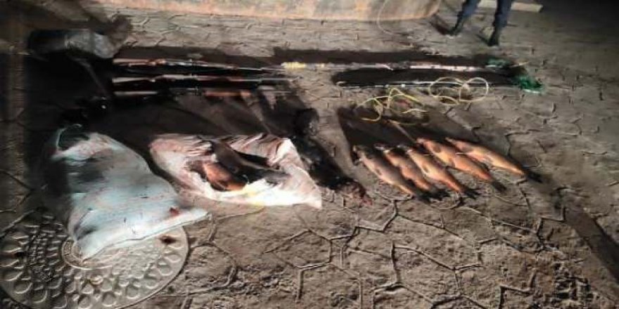 Elektroşokla balık avına 420 bin lira ceza