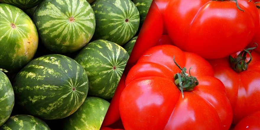İstanbul hallerinde geçen yıl en çok karpuz ve domates satıldı