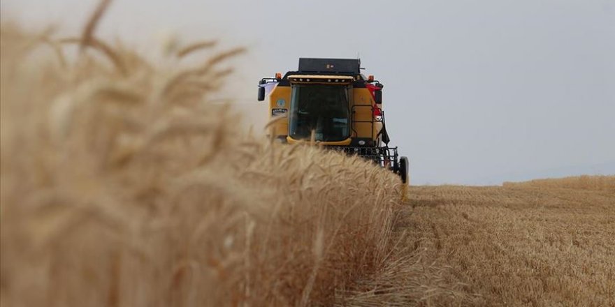 Buğday ticaretinden 17 yılda 12,5 milyar dolarlık gelir