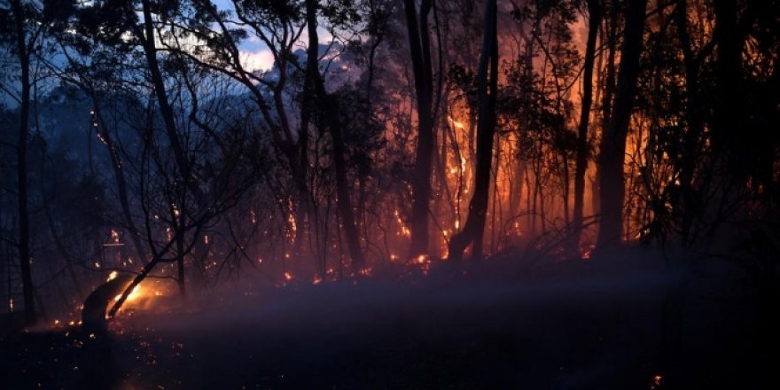 Avustralya'daki yangınlar aylar sonra ilk kez kontrol altına alındı