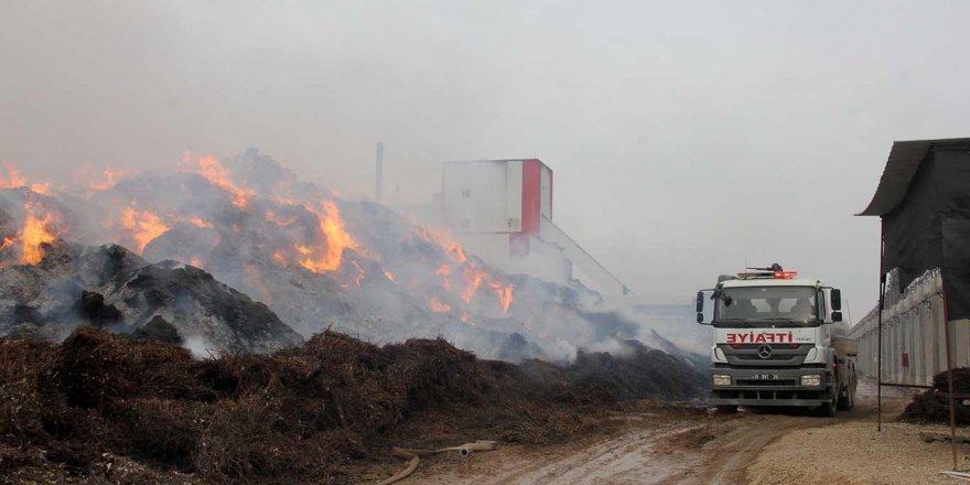 Adana'daki yangında evleri yanan vatandaşlar 1 milyon TL kaynak aktarılacak