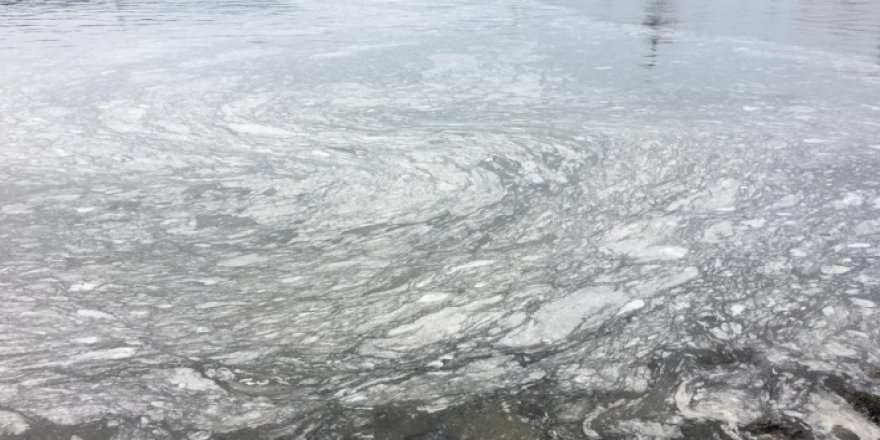 Çanakkale Boğazı'nda ortaya çıkan gizemli tabaka incelenecek