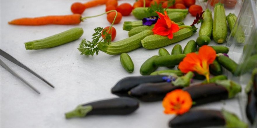 Lüks sofraların tercihi minyatür sebzeler Rusya ve Arap pazarına açıldı