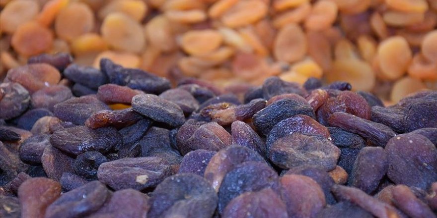 Avrupalı tüketicinin ilgisi kuru kayısı ihracatını artırdı