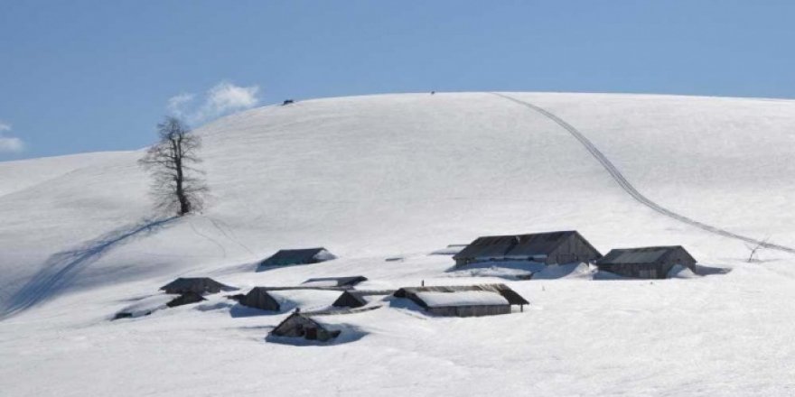 Kardüz Yaylası'nda kar kalınlığı 2.5 metreye ulaştı