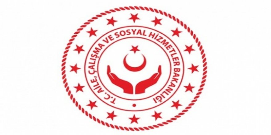 Bakanlık gurbetçiler için düğmeye bastı!