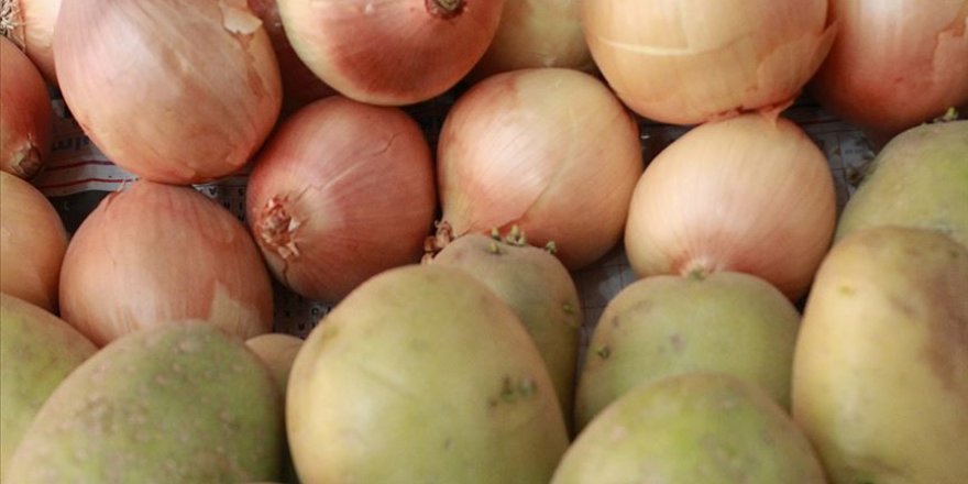 Soğan ve patateste üretim mayısa kadar yeterli
