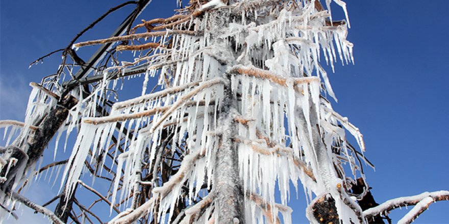 Doğu'da soğuk hava etkisini sürdürüyor