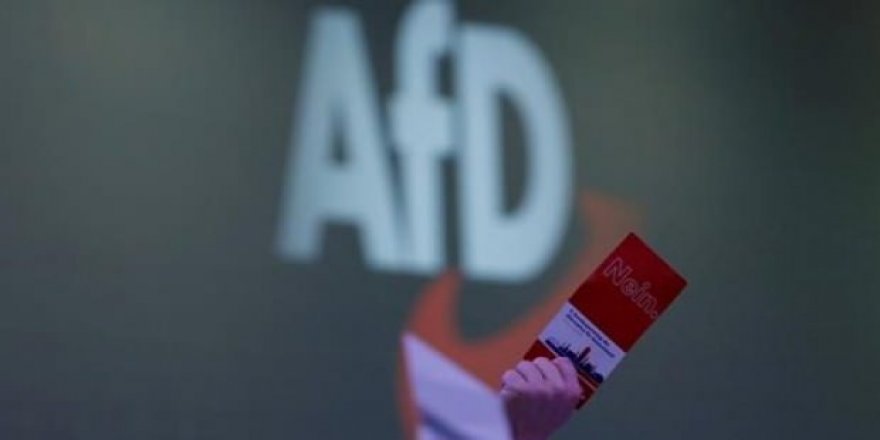 Çocuklara yönelik skandal operasyon: Boyama kitabında ırkçılık yaptılar