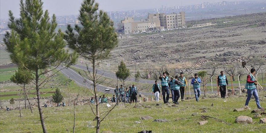 Hükümlüler üç yılda 2,5 milyona yakın fidan dikti