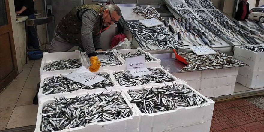 Karadenizli balıkçının gözdesi yine 'hamsi' oldu