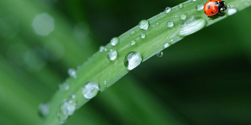 İkinci cemre bu hafta suya düşecek