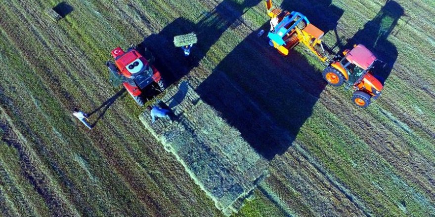 Kırsal kalkınma için 1231 projeye 310 milyon lira hibe desteği verilecek