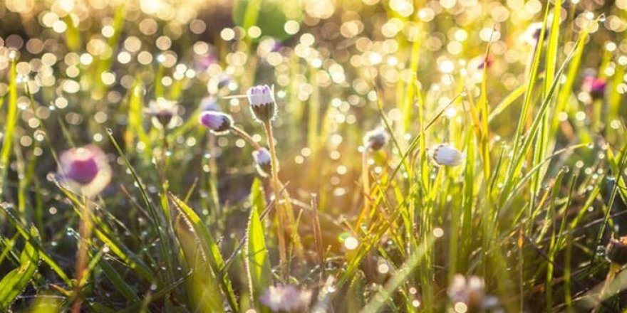 Üçüncü Cemre ne zaman düşecek?