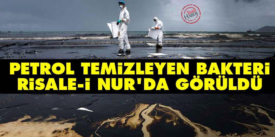 Petrol temizleyen bakteri Risale-i Nur'da görüldü