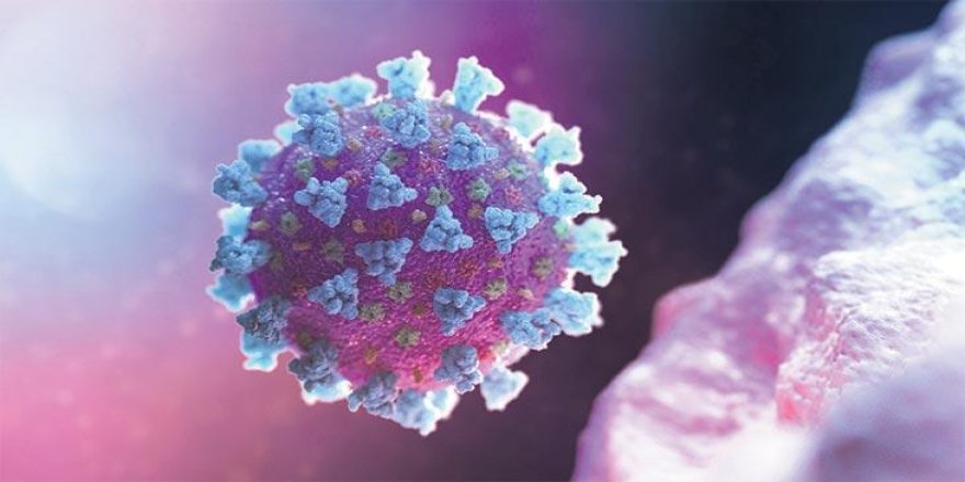 Korona HIV ve Ebola gibi agresif