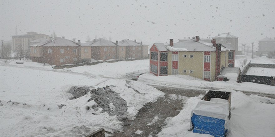 Yüksekova'da yoğun kar yağışı