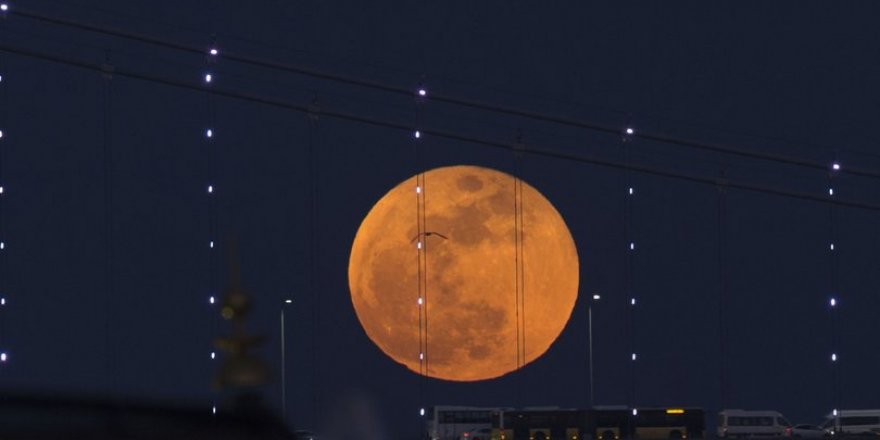 Süper Ay Tutulması ne zaman gerçekleşecek?