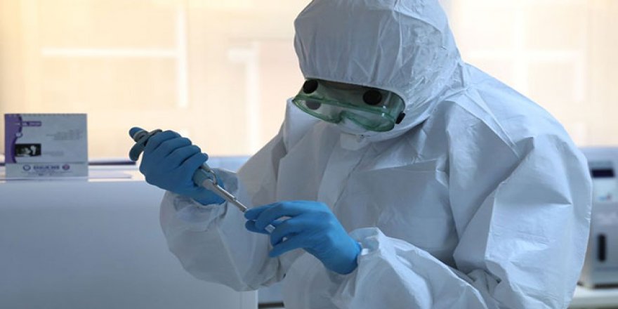 Koronavirüs’ün iki farklı mutasyonu tespit edildi! Çok daha ölümcül